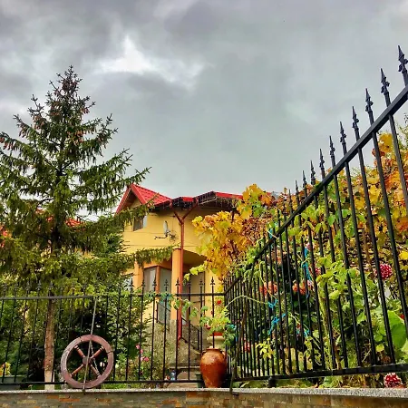 Bed & Breakfast Pensiunea Portas Slanic