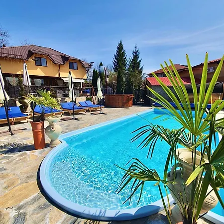 Pensiunea Portas Bed & Breakfast Slanic